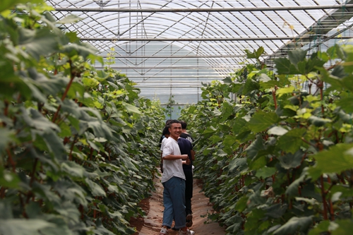 副本2.jpg 副本2.jpg