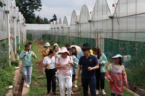 副本5.jpg 副本5.jpg