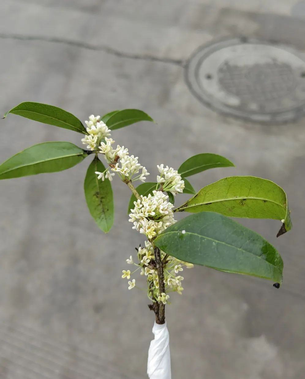【心灵之家】情绪与调节 第 2 张