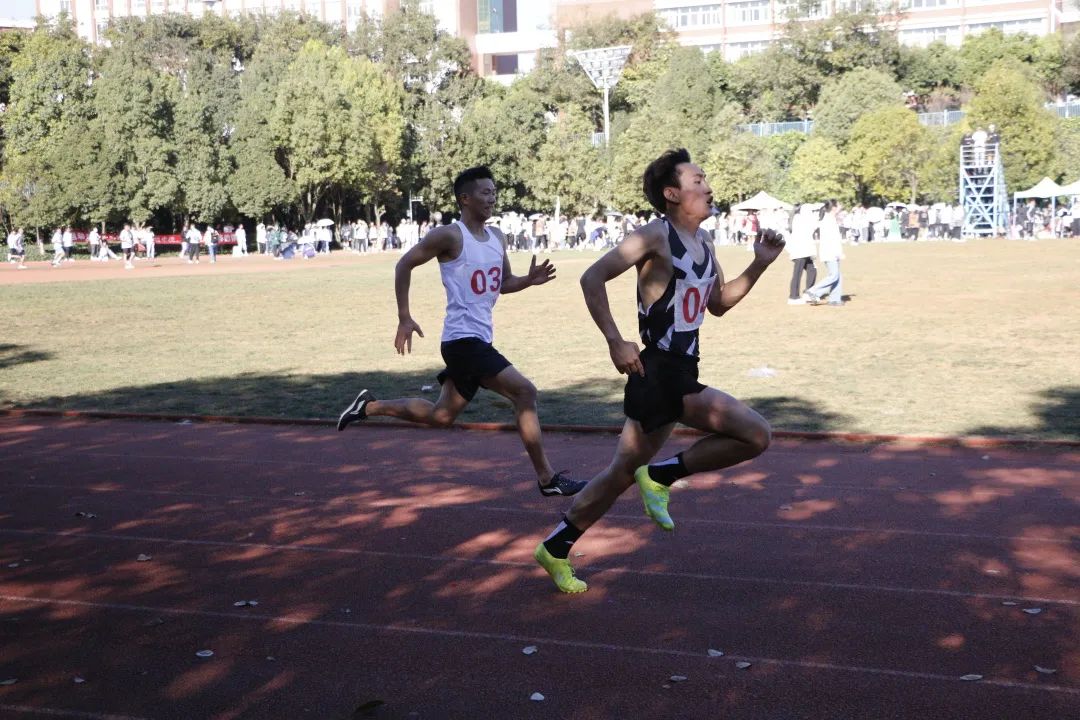 image.jpeg image.jpeg