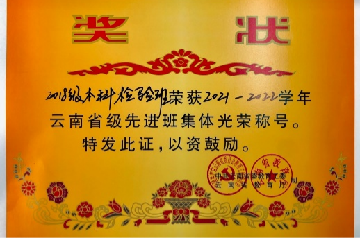 喜报！云南经济管理学院医学院1个基层党组织入选云南省高校第五批“一流党建”示范党组织 第 7 张