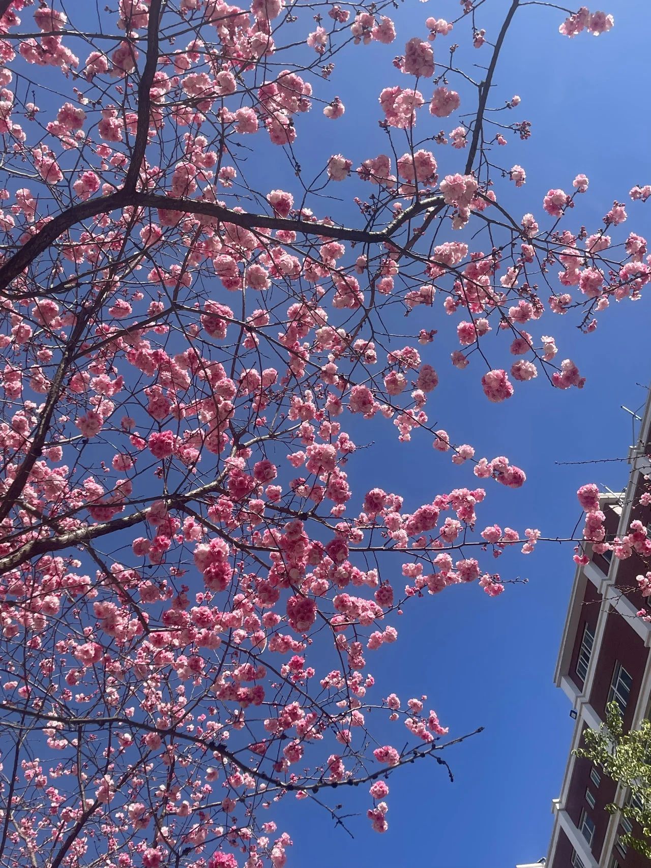 dc7b3b8c005be8e256a405d683565923.jpg
