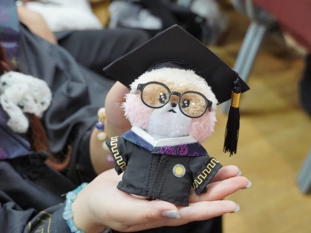 云南经济管理学院2025年毕业典礼隆重举行！ 第 30 张