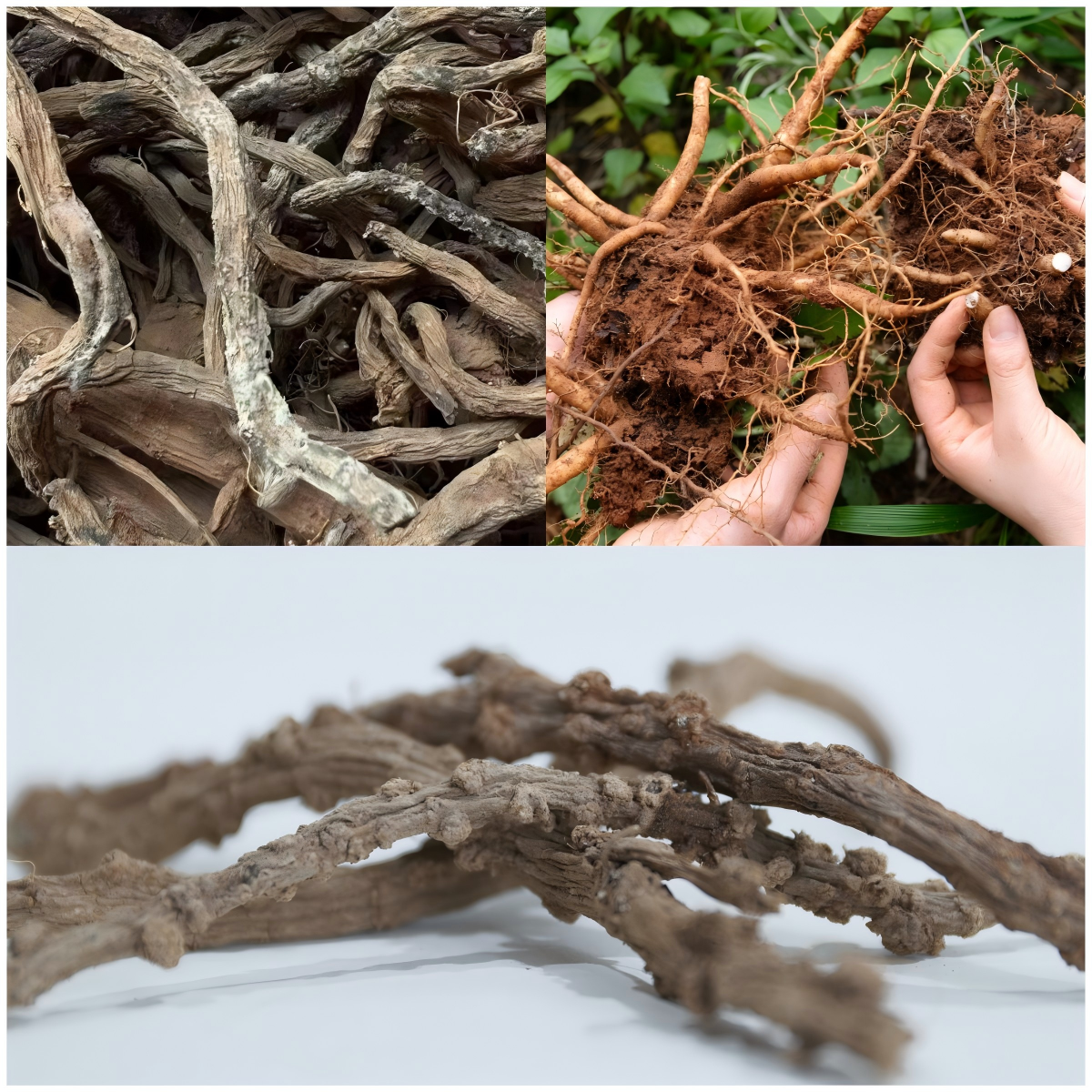 云经管“续而不断”团队斩获中国国际大学生创新大赛总决赛银奖！ 第 2 张