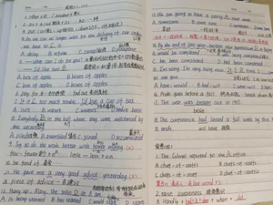 就业典型-  《专升本榜首的不屈逐梦路》 第 1 张