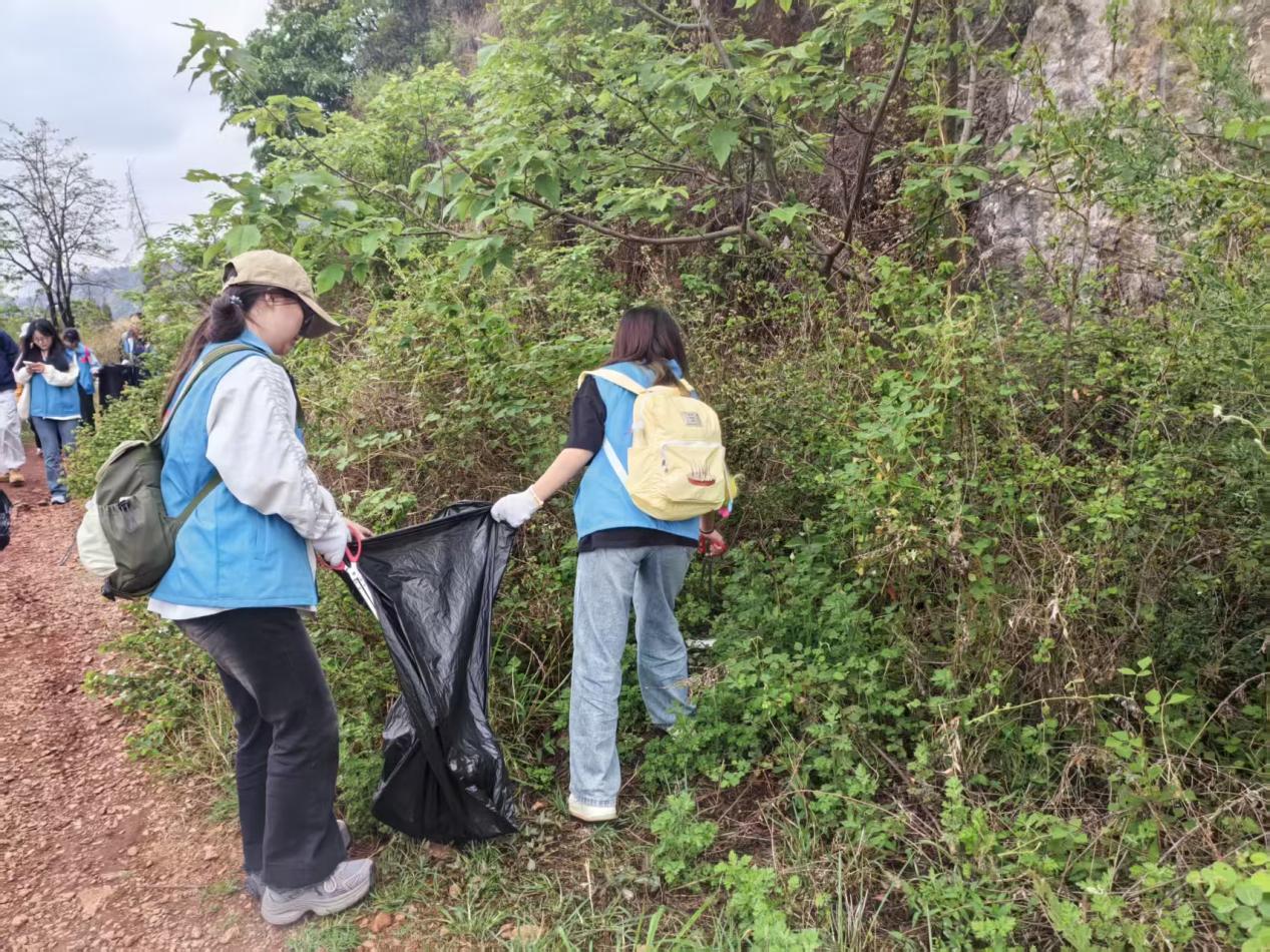青春绘就生态底色 云经管医学院环保行动守护玉案山   第 2 张
