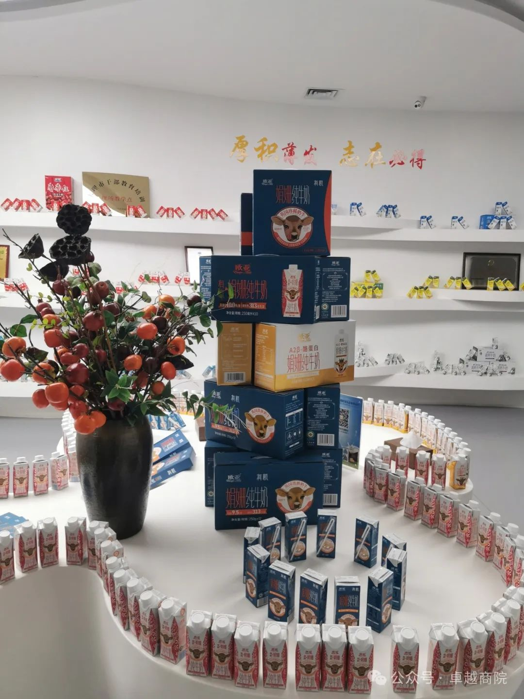 ​访企拓岗、校企合作商学院赴大理市开展访企拓岗活动 第 7 张